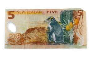 92212999 BJMMH2 New Zealand Banknote 5 Dollars xlarge transug7vXjc7sLgSkiLLy2cFv9U0TosspJqU5blnmjN4wBE