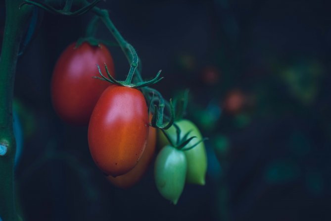 markus-spiske-717248-unsplash