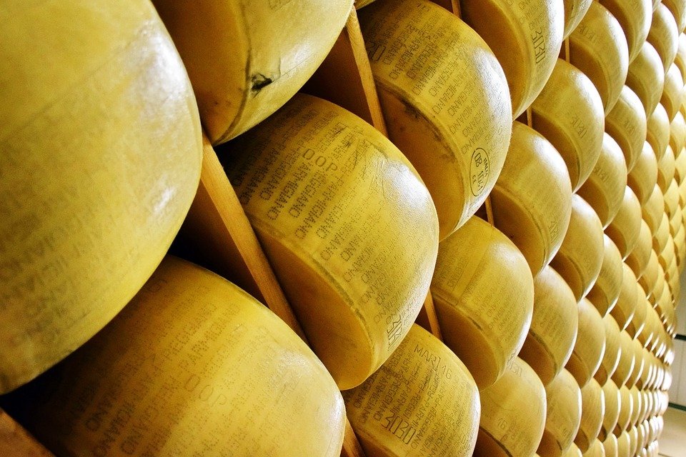 Parmigiano food