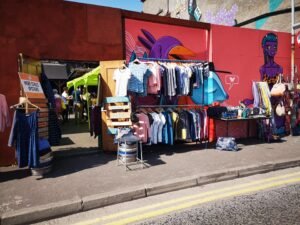 belfastflea