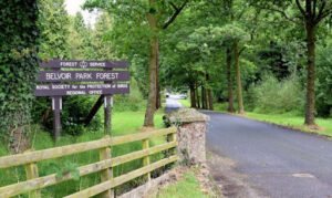 Belvoir Forest entrance sign