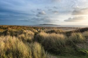 Dollymount beach