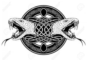 13571427 the image of head of snake and celtic patterns