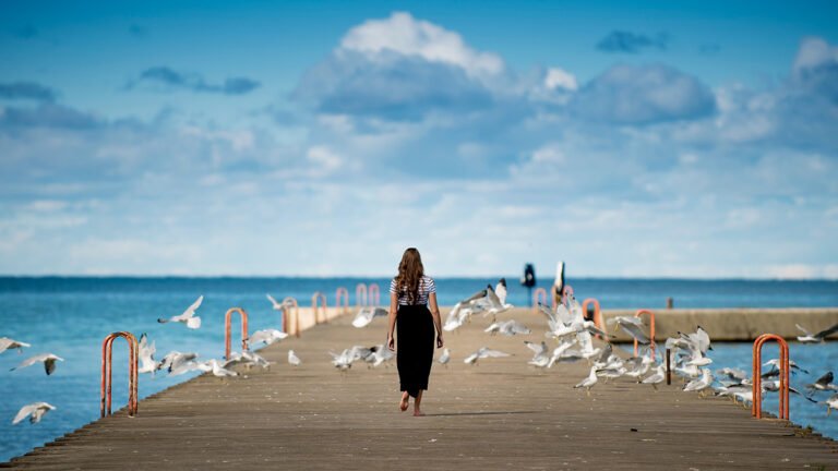 walk everyday banner article