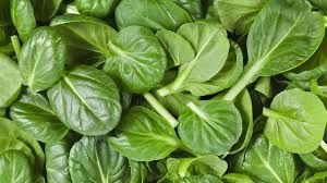 spinach