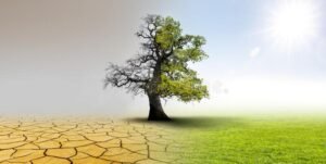 climate change landscape dry earth oak tree meadow 173612101