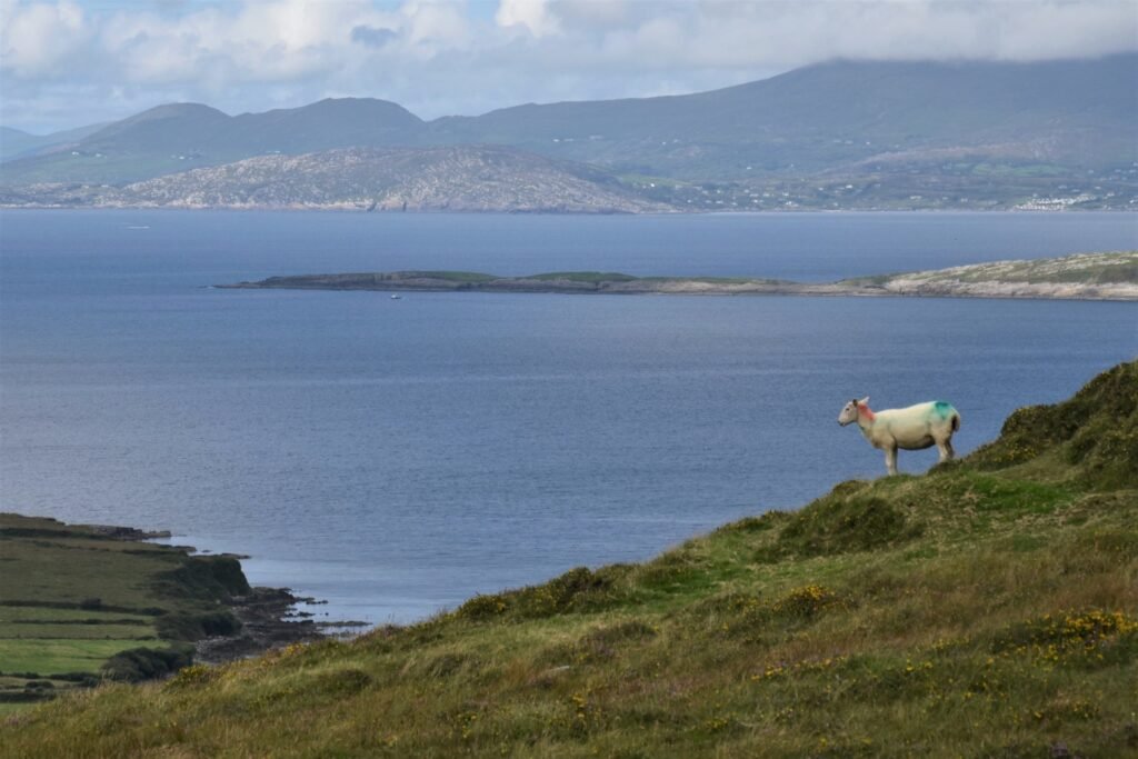 Walking the Beara Way