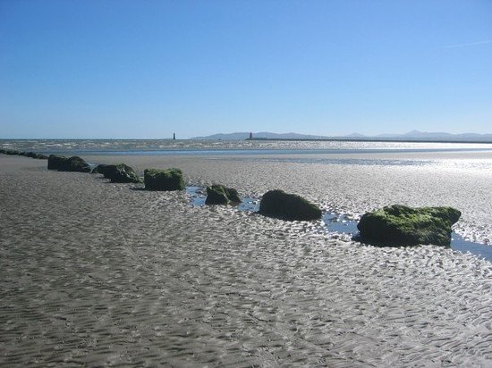 north bull island