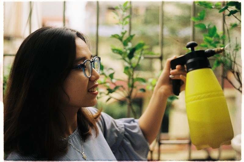 watering plants