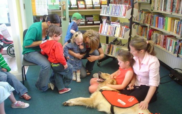 Terenure Library e1621333061136