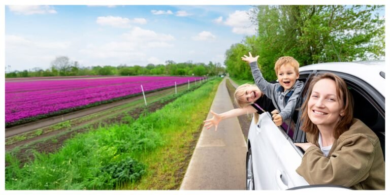 Getting a Driving License in the Netherlands