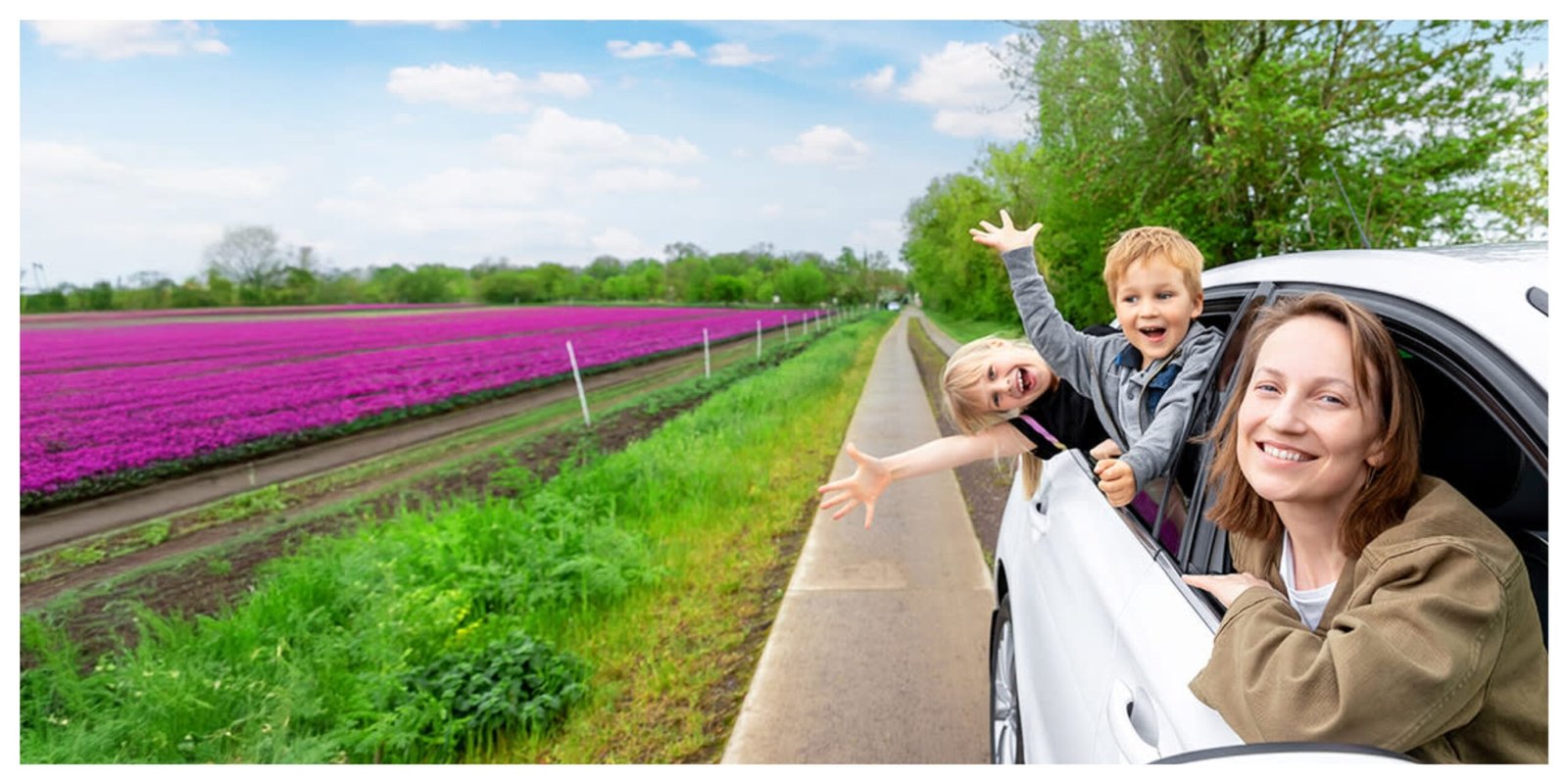 Getting a Driving License in the Netherlands