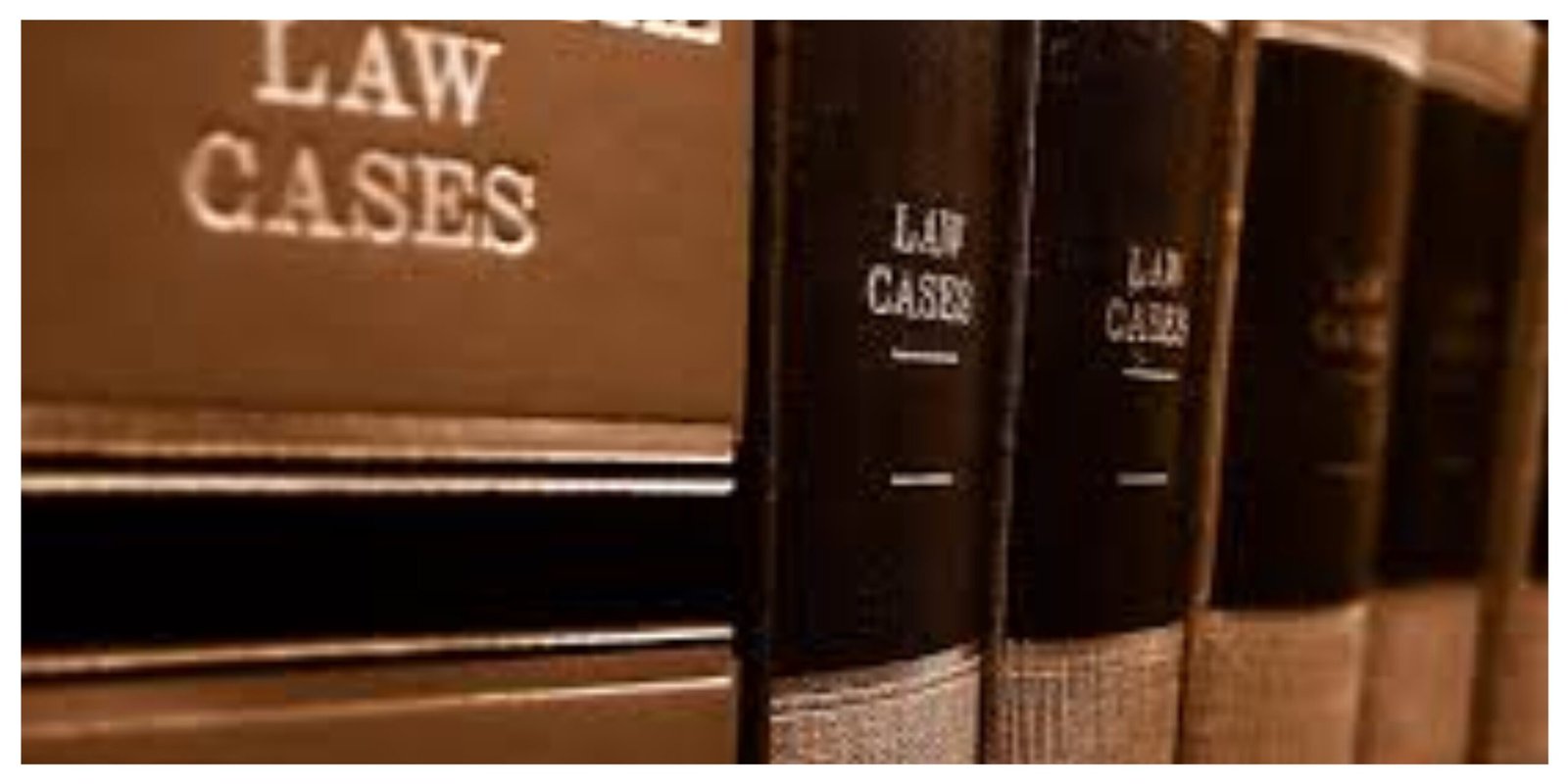 Important Laws and Regulations in the Netherlands 1 MixCollage 30 May 2025 11 44 AM 5478 scaled