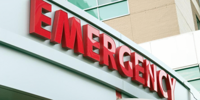 Emergency Support & Resources for Immigrants in America 1 emergency support