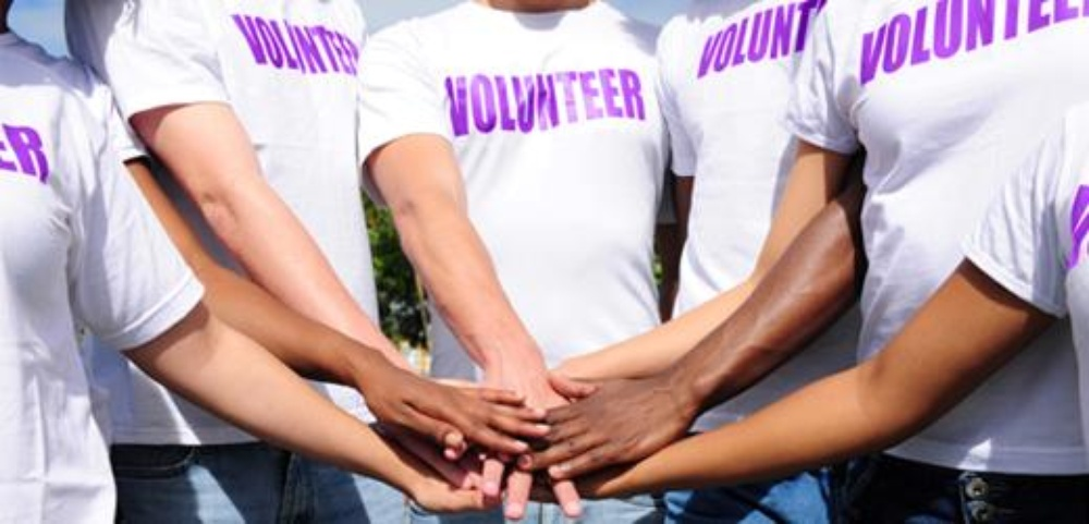 Volunteer Work in the US: your ultimate guide 1 volunteer work