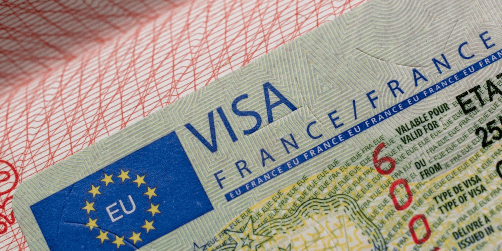 France Visa Guide: Types, Applications, Residency & Citizenship Requirements 1 france visa