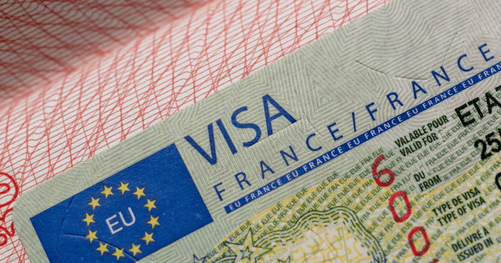 Visa Types and Application in France 1 visa types