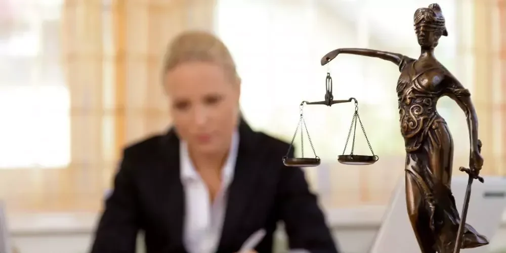 Netherlands Laws and Regulations: Essential Rights Guide 1 netherlands laws
