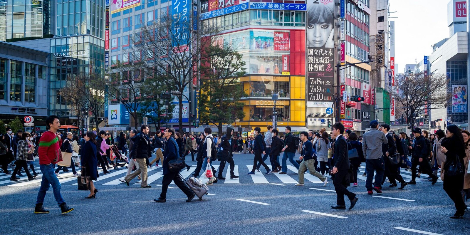 Moving to Japan Guide: Relocation & Essentials 1 moving to japan