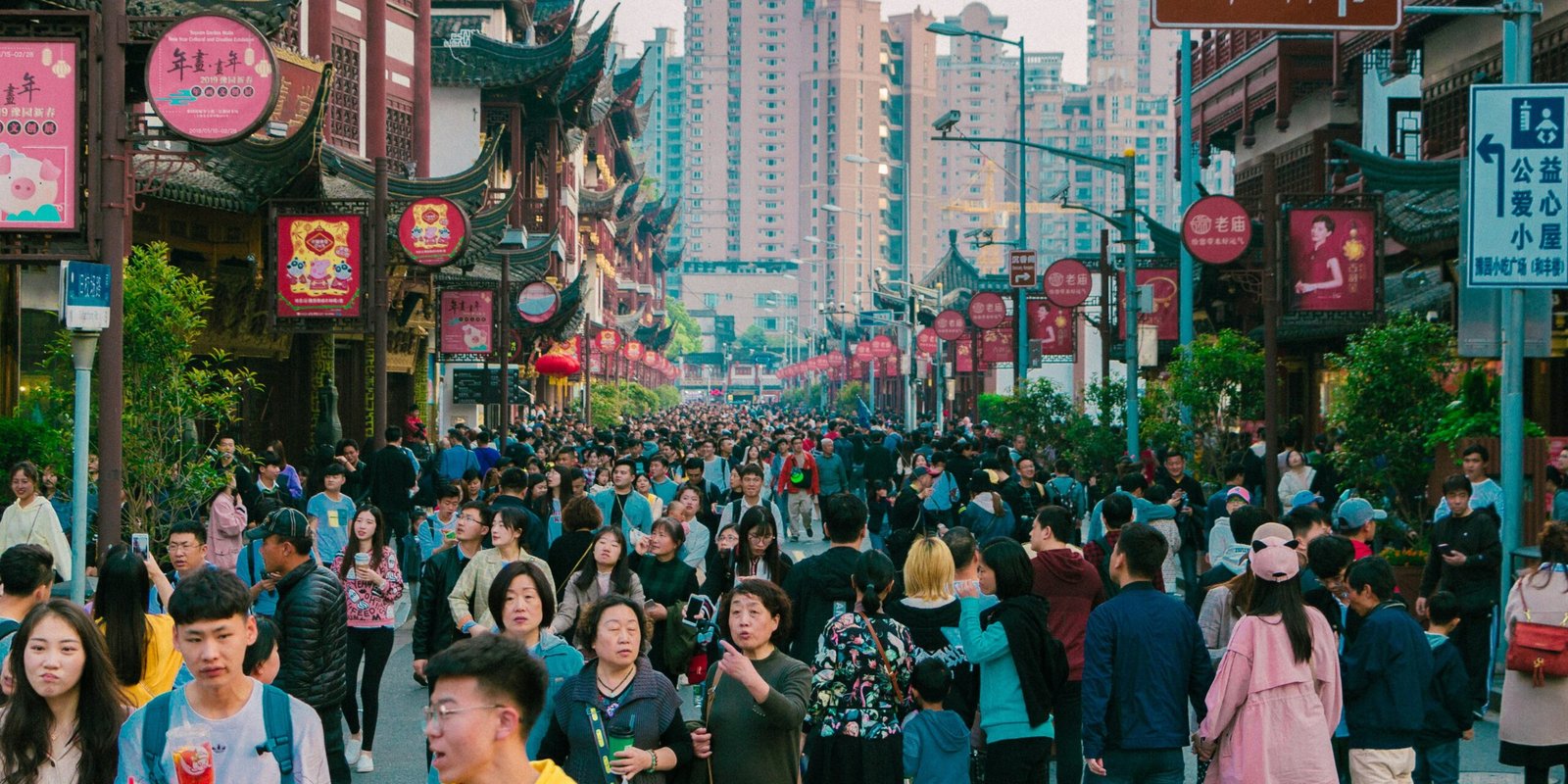 China job market trends: What slower growth means for expats